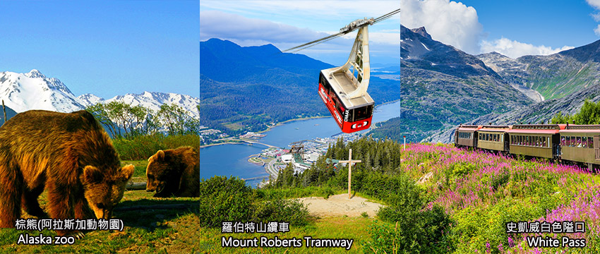 美國-阿拉斯加-棕熊+羅伯山纜車+史凱威-懷特山口